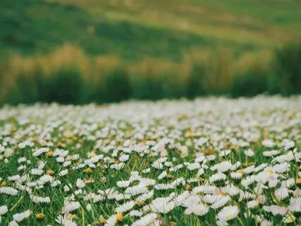 Breath Of The Nature