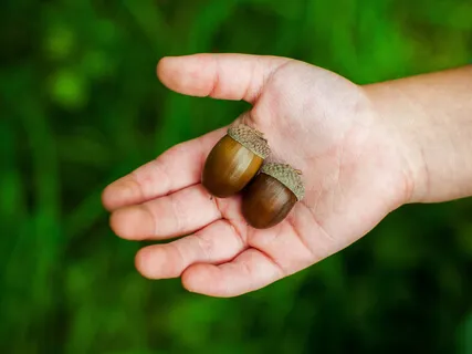 Breath Of The Seven Billion