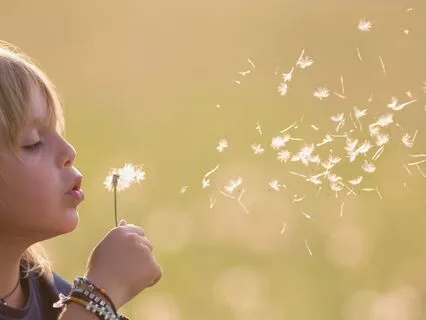 Breath Of The Wind: Comfort And Healing