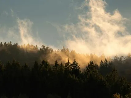 Breath Of The Wind: Lung Wellbeing