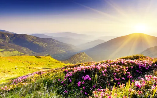 Breath Of Well-Being Meditation