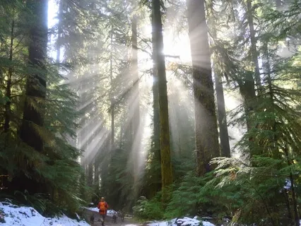 Mindful Breath Of White Light 