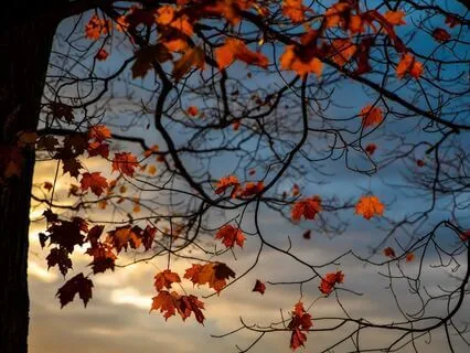 Short Grounding Breath Pause