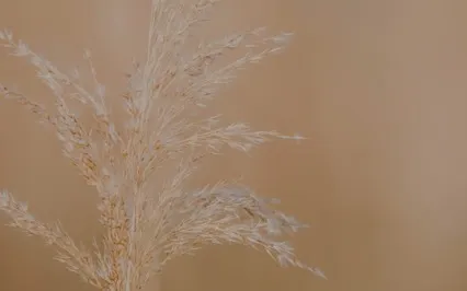 Breath + Affirmations: Opening Space For Creativity