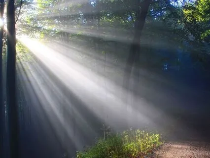 Breath Practice - Extend The Exhale, Ease The Mind