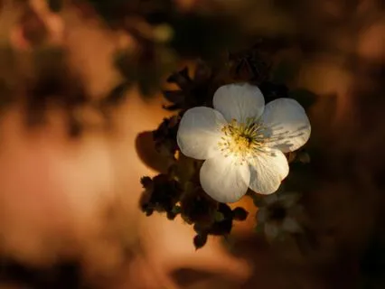 Breath Practice For Enhancing Your Mood