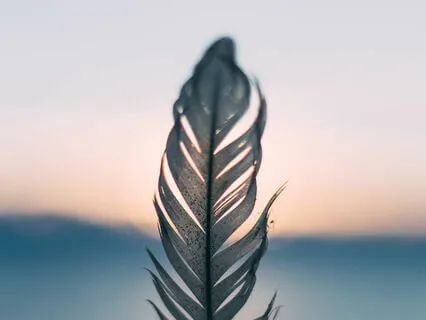 Breath, Relaxation, And Connection To The Body Practice