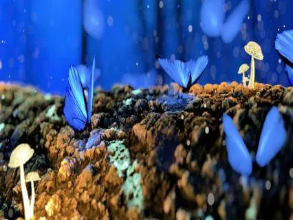 Breath Reset Meditation Day 2