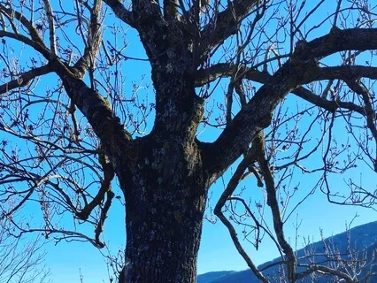 Breath And Stillness - Stress Relief