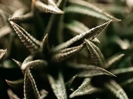 Breath Technique I Use For Anxiety, Anger, Sadness, Or Fear