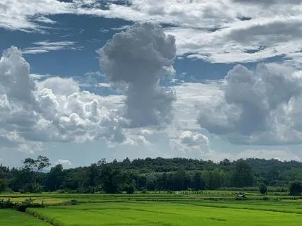 Breath - The Body That Knows (Not Alone Series)