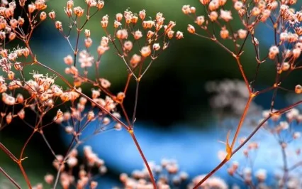 B.R.E.A.T.H - Thoughts