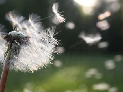 Breath To Reset, Restore & Refocus