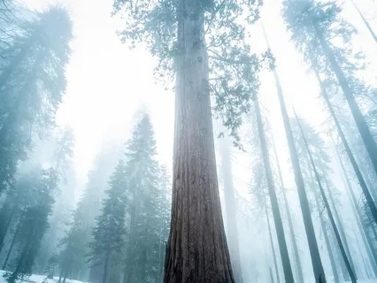 Breath Visualisation For Self-Love