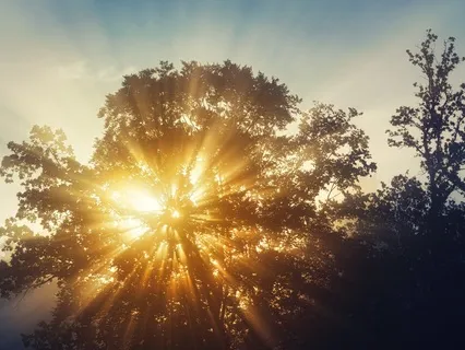 Breath Visualization For Manifestation And Release