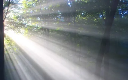 Breath Work For Healing