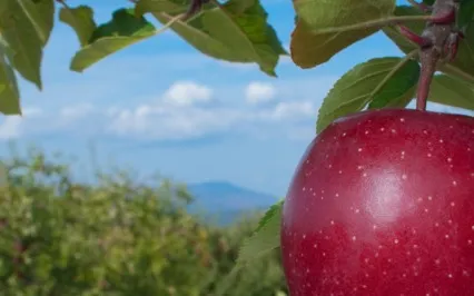 Breath Work Guided Meditation - New England Farm At Fall