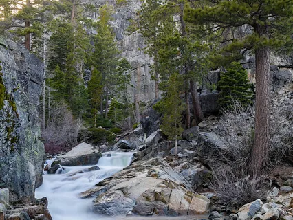 Breath Work Is Brain Work (Box Breath | Hypoxic Breath | DMT)