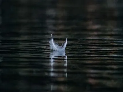 Breathe: A Mindful Pause To Release Anxiety & Find Presence