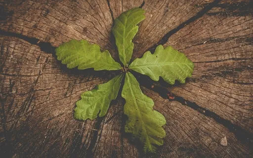 Breathe (Acoustic Version)