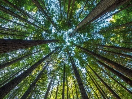 Breathe All That You Are