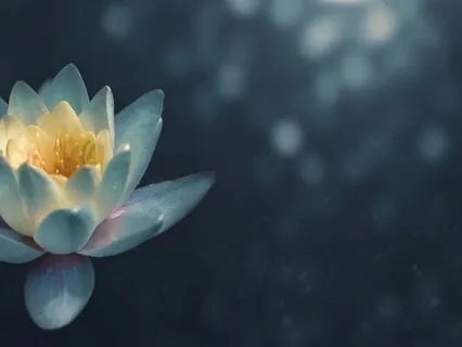 Breathe And Let Go:  Emotional Release From The Heart Chakra