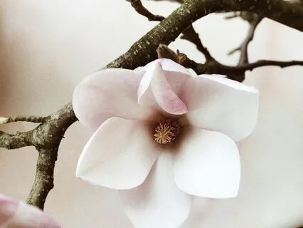 Breathe & Let It All Go