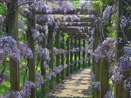 Breathe And Meditate (Part 2)