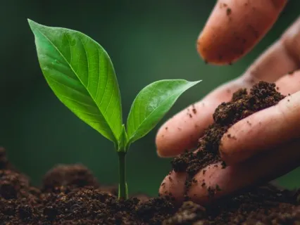 Breathe And Perceive For Grounding 