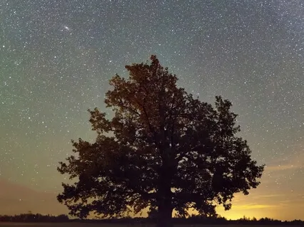 Breathe Away Anxiety