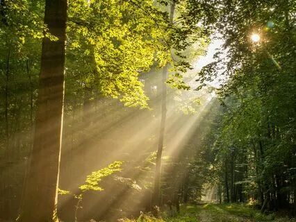 Breathe Away Anxiety