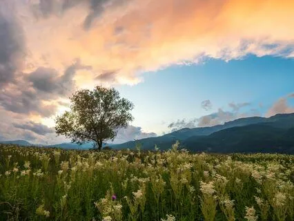 Breathe Away Anxiety: Quick Calm In Minutes