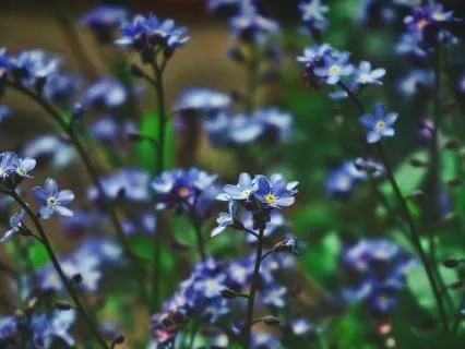 Breathe Away Anxiety