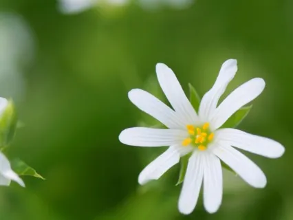 Breathe Away Anxious Thoughts