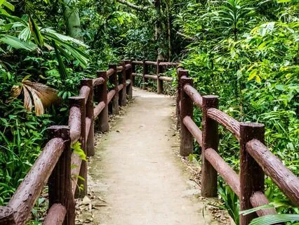 Breathe Away Stress: Instant Calm In 60 Minutes | 852 Hz