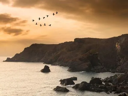 Let Go And Begin Again