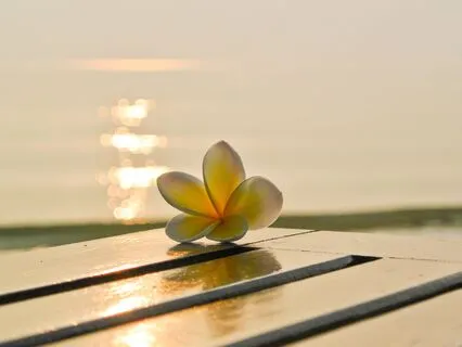 Breathe Better: Three Proven Breathwork Methods To Recharge