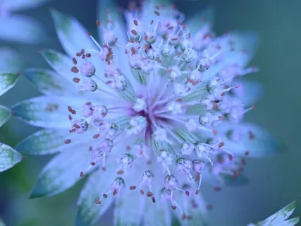 Breathe Colours For Stress Relief