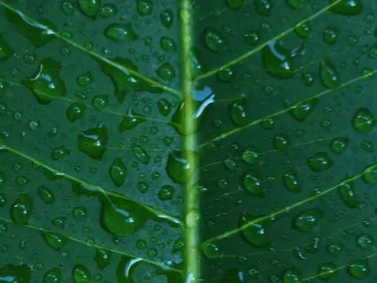 Breathe Deep Frequency For Healing And Stress Relief