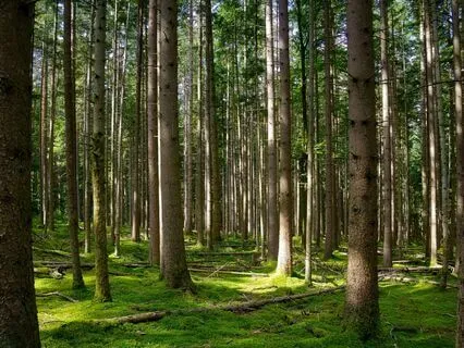 Breathe! Don't Bite!