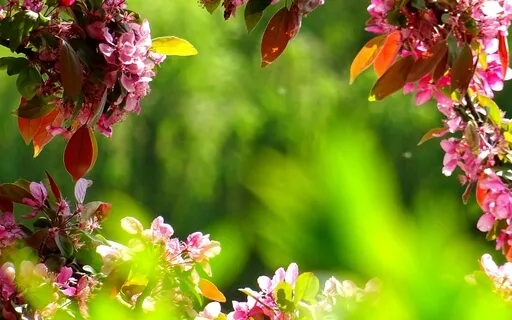 Breathe Easy And Free With 741Hz Music