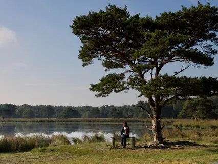 Breath Easy: Relaxing Tunes For Breathwork