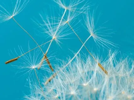 Breathe For Awareness And Relaxation