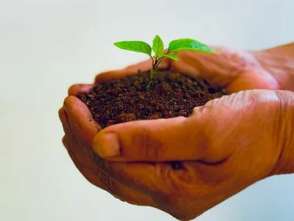 Breathe, Ground, And Begin: Daily Intention Practice