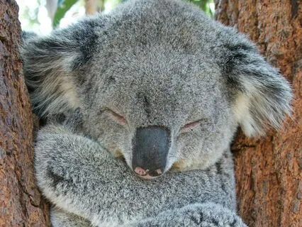 Breathe: Hugging Breath