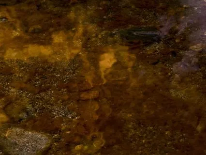 Breath In | Be Water 4 Minute Meditation For Letting Go