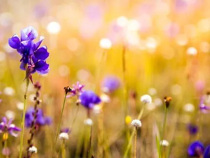 Breathe In Joy, Peace And Happiness In The Present Moment