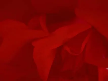 Breathe In |  Rose Heart | 36 Min For Heart Opening & Love