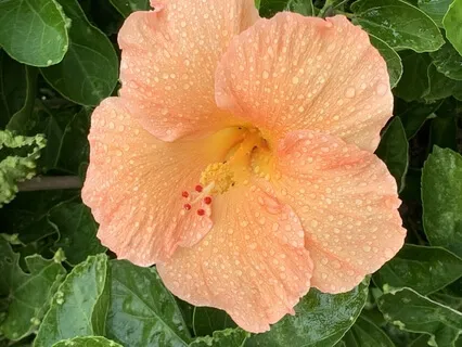  Breathe In The Energy Of Spring 