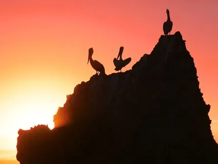 Breathe In The Light Of Radiant Healing II: Cellular Renewal